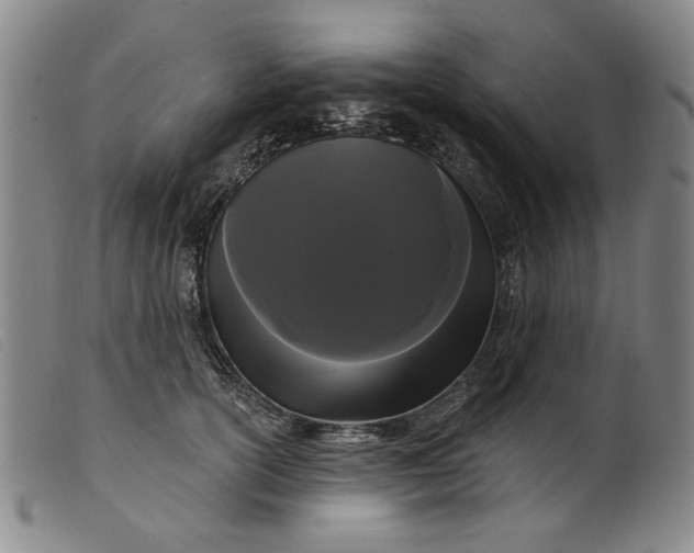 X0000099420754200805231628