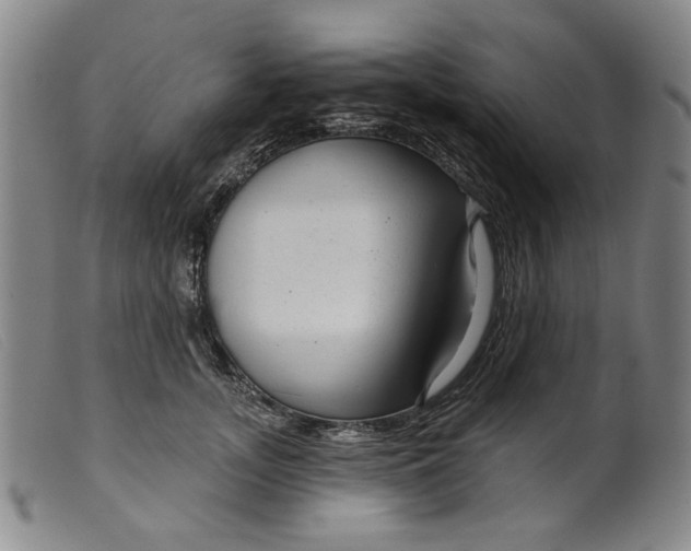 X0000099420755200805231628