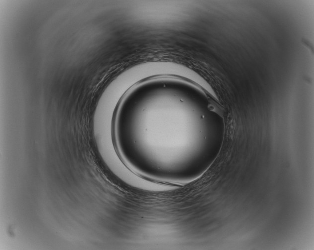 X0000099420756200805231628