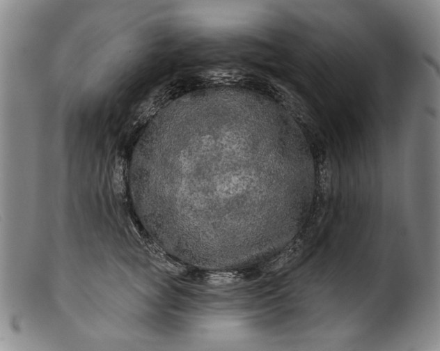 X0000099420757200805231628