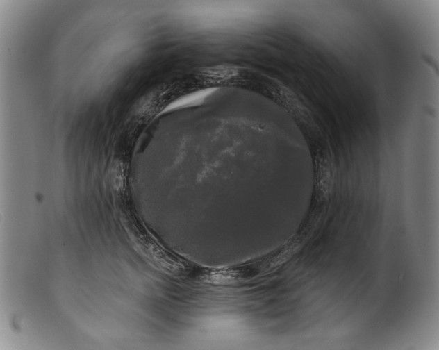 X0000099420758200805231628