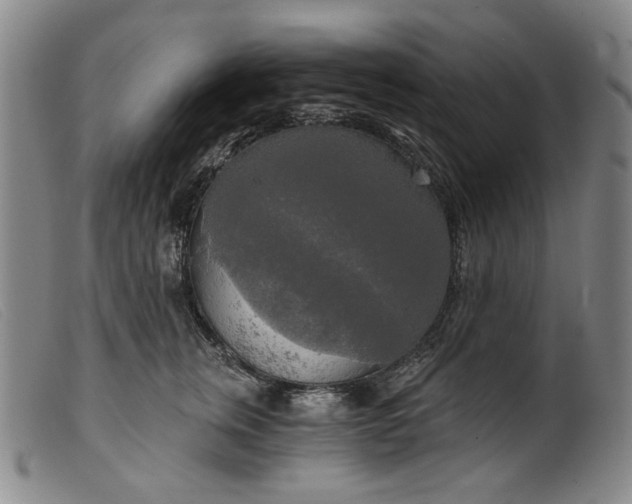 X0000099420759200805231628