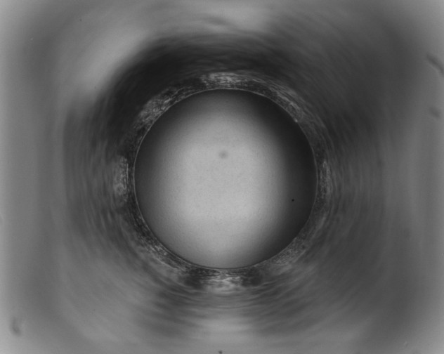 X0000099420760200805231628