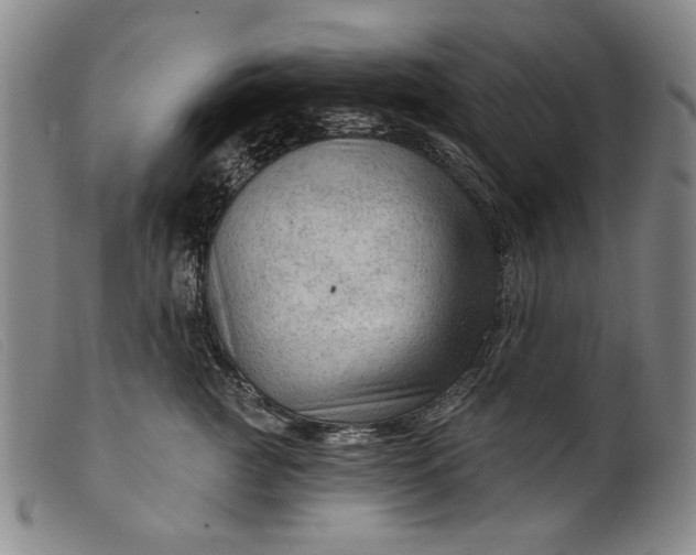 X0000099420761200805231628