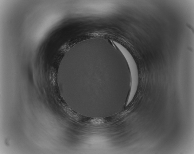 X0000099420762200805231628