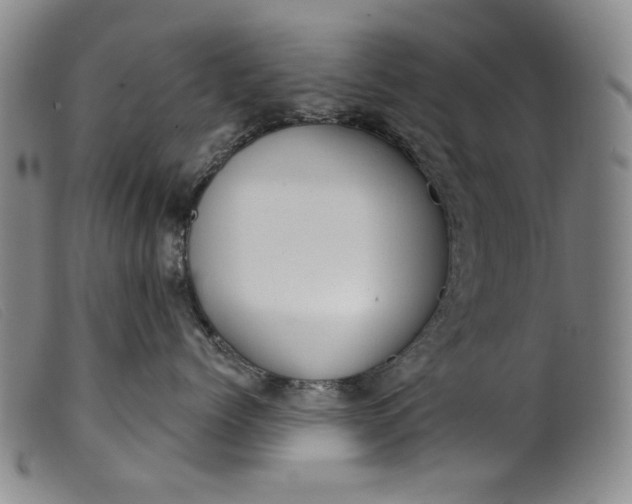 X0000099420768200805231629