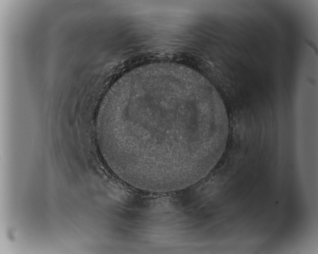 X0000099420769200805231628