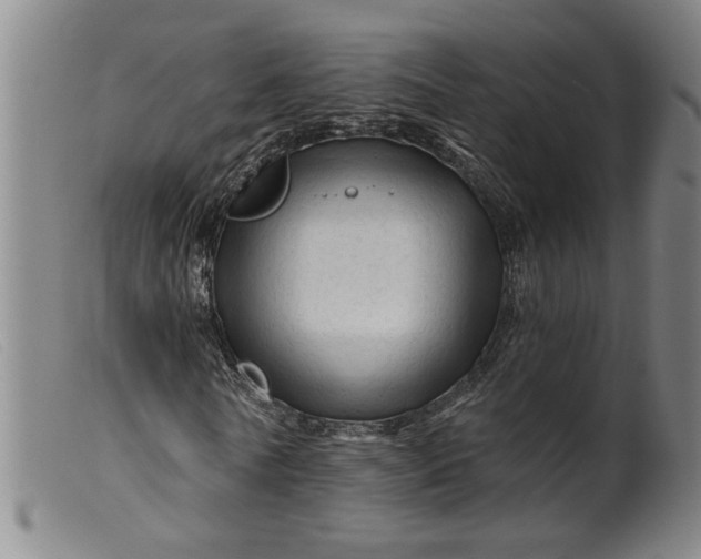 X0000099420770200805231628