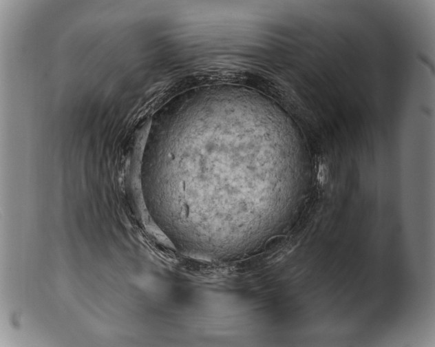 X0000099420771200805231628