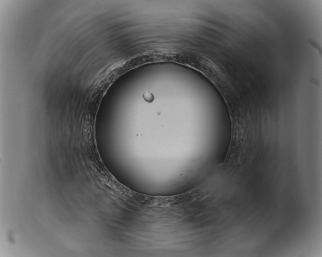 X0000099420773200805231628