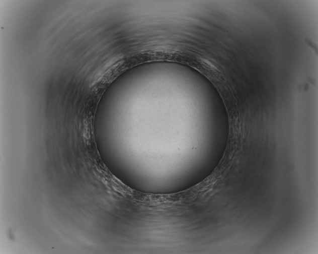 X0000099420774200805231628