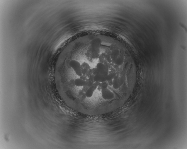 X0000099420775200805231628