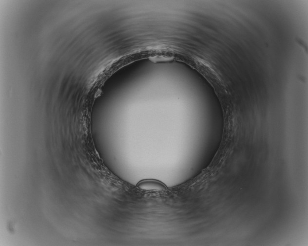 X0000099420776200805231628