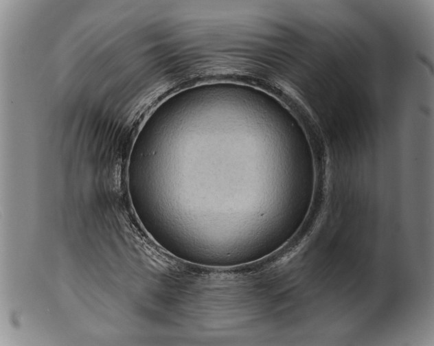 X0000099420777200805231628