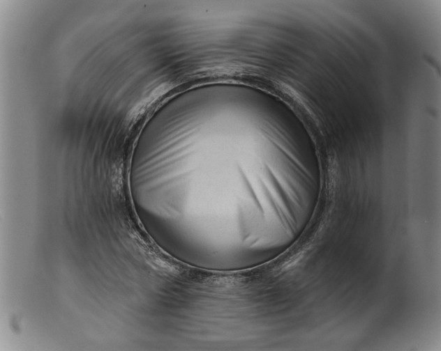 X0000099420778200805231628