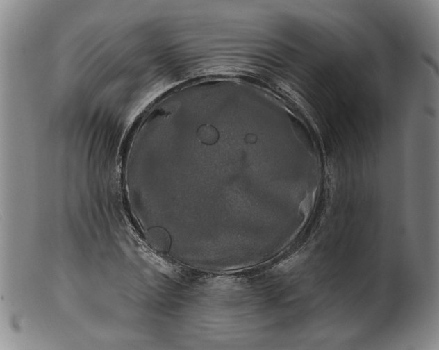 X0000099420779200805231628
