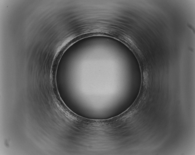 X0000099420780200805231628