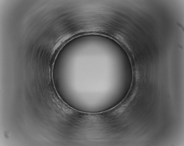 X0000099420781200805231628
