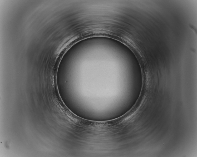 X0000099420782200805231628