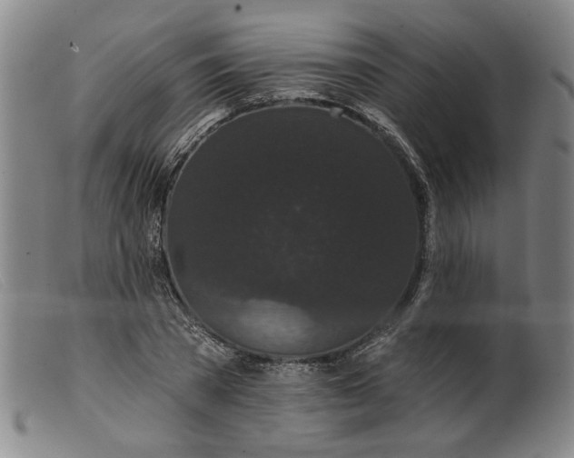 X0000099420785200805231628