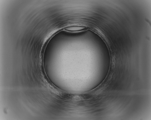 X0000099420787200805231628