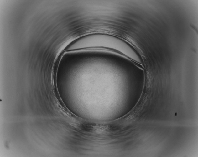 X0000099420788200805231628