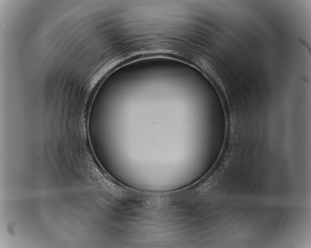 X0000099420789200805231628