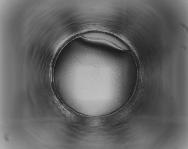 X0000099420791200805231628