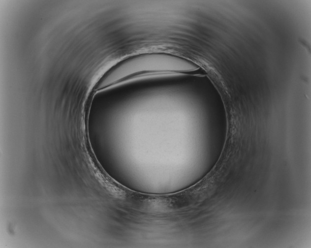 X0000099420792200805231628