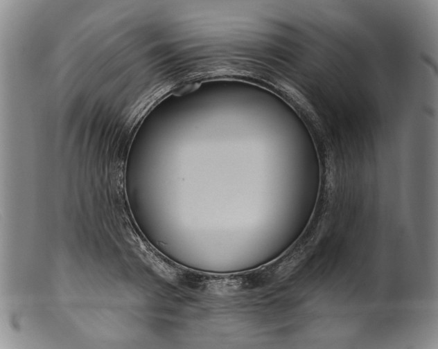 X0000099420793200805231628
