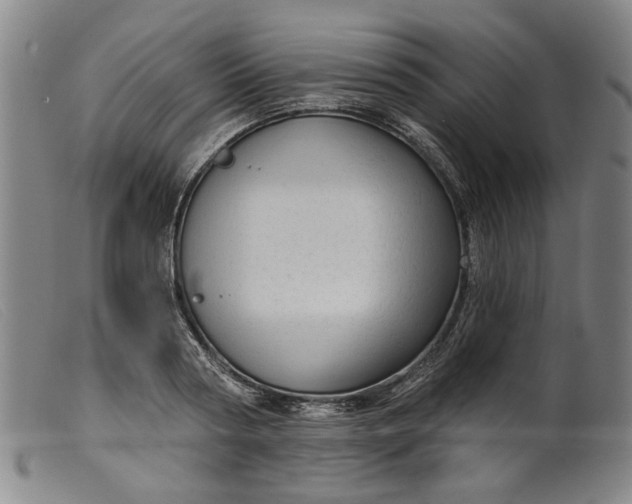 X0000099420794200805231628