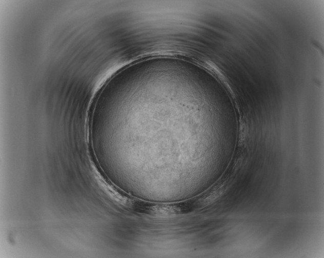 X0000099420795200805231628