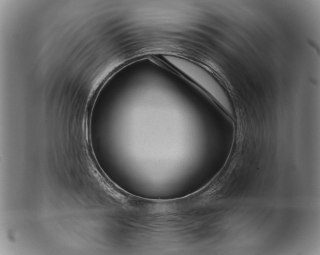 X0000099420796200805231628