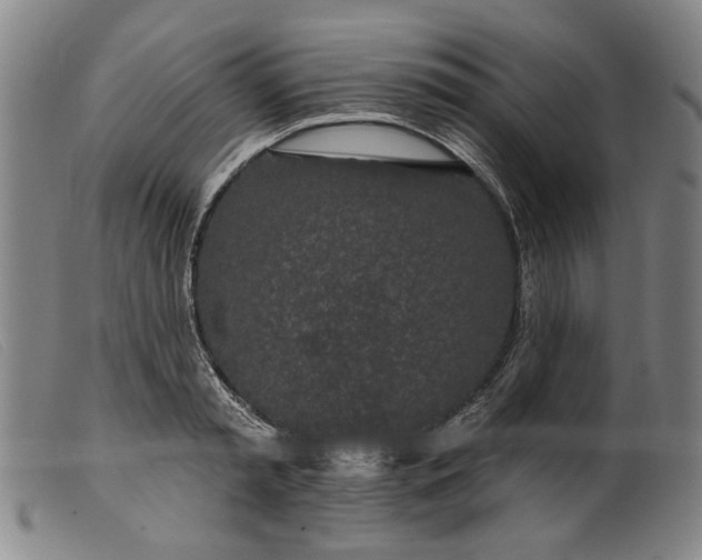 X0000099420797200805231627