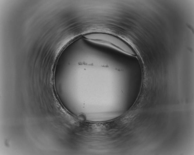 X0000099420799200805231627