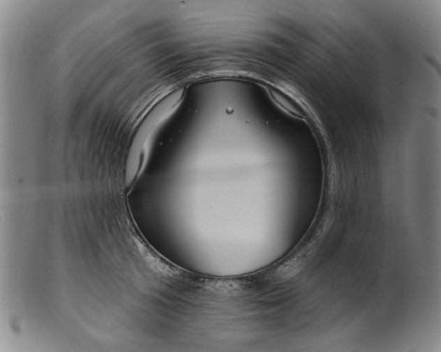 X0000099420801200805231627