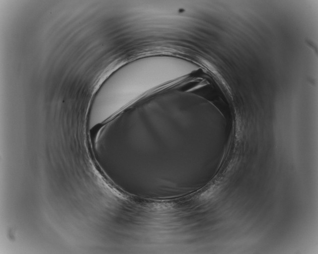 X0000099420802200805231627