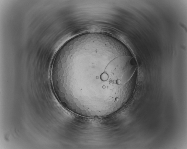 X0000099420803200805231627