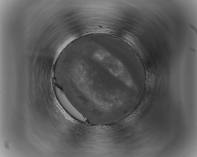 X0000099420804200805231627