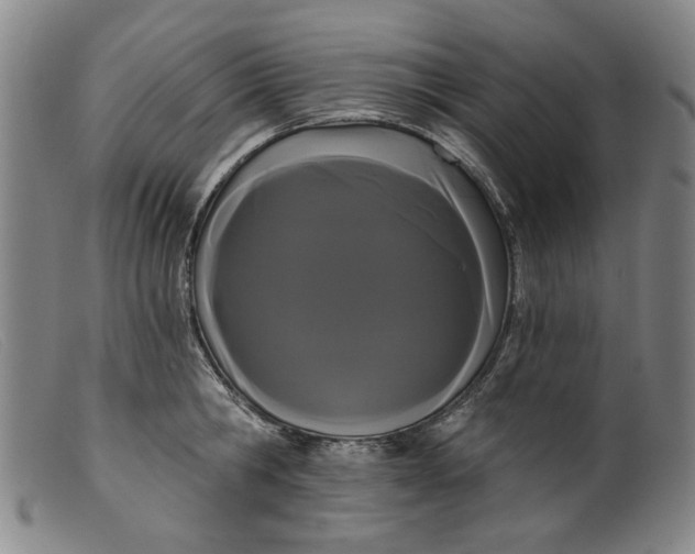 X0000099420806200805231627