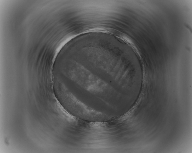 X0000099420808200805231627