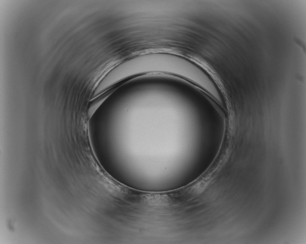 X0000099420809200805231627
