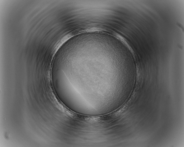 X0000099420810200805231627
