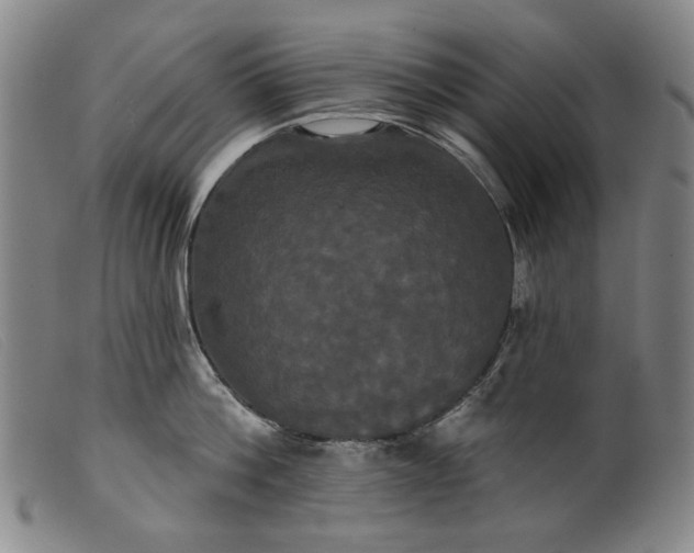 X0000099420812200805231627