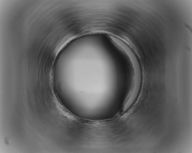 X0000099420814200805231627
