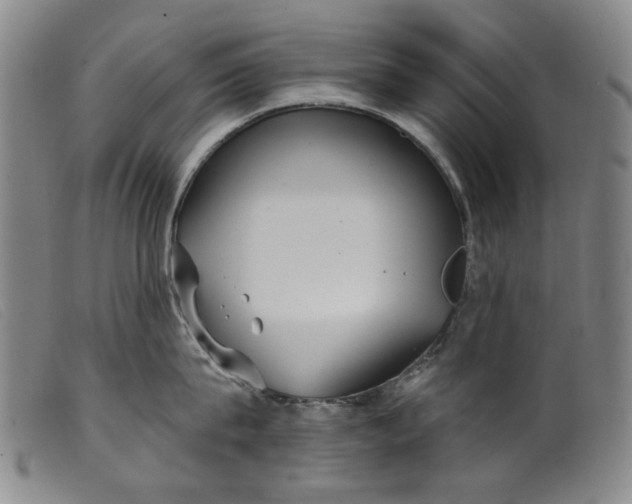 X0000099420815200805231627