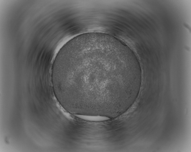X0000099420816200805231627