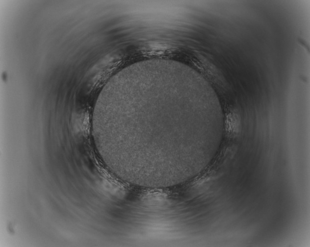 X0000099420820200805231627