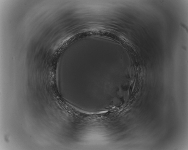X0000099420822200805231627