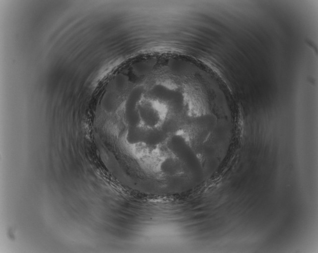 X0000099420823200805231627